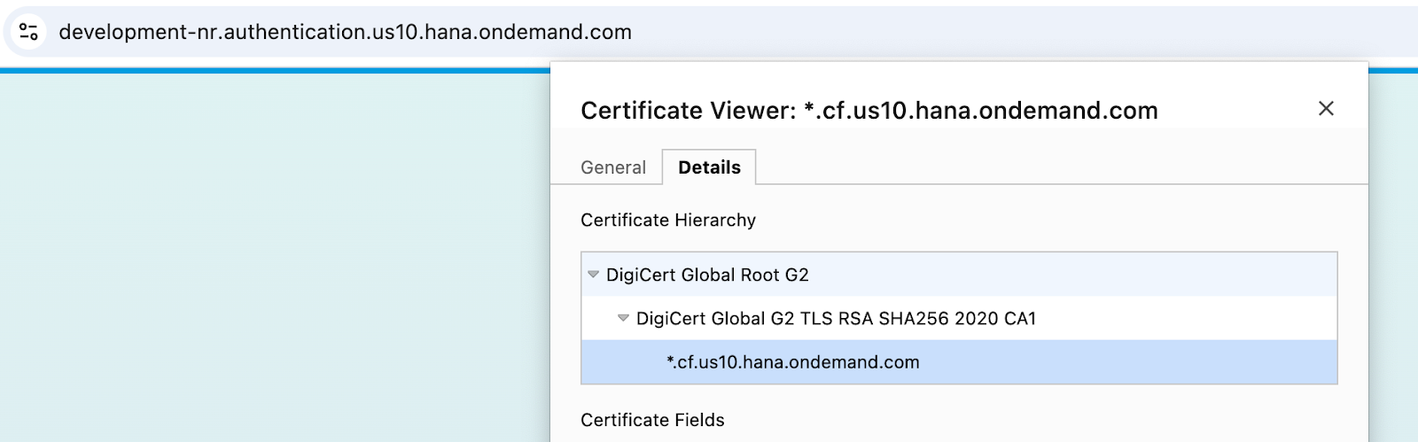 BTP process integration runtime A screenshot displaying the connection setup for BTP process integration runtime