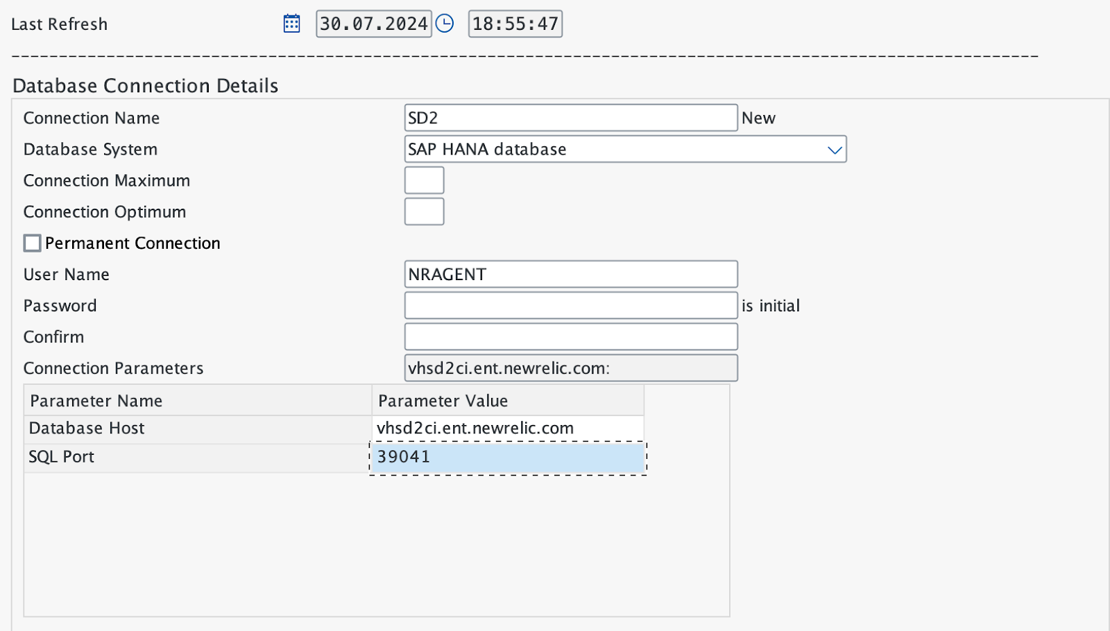 SAP Connection Name A screenshot displaying the SAP Connection Name