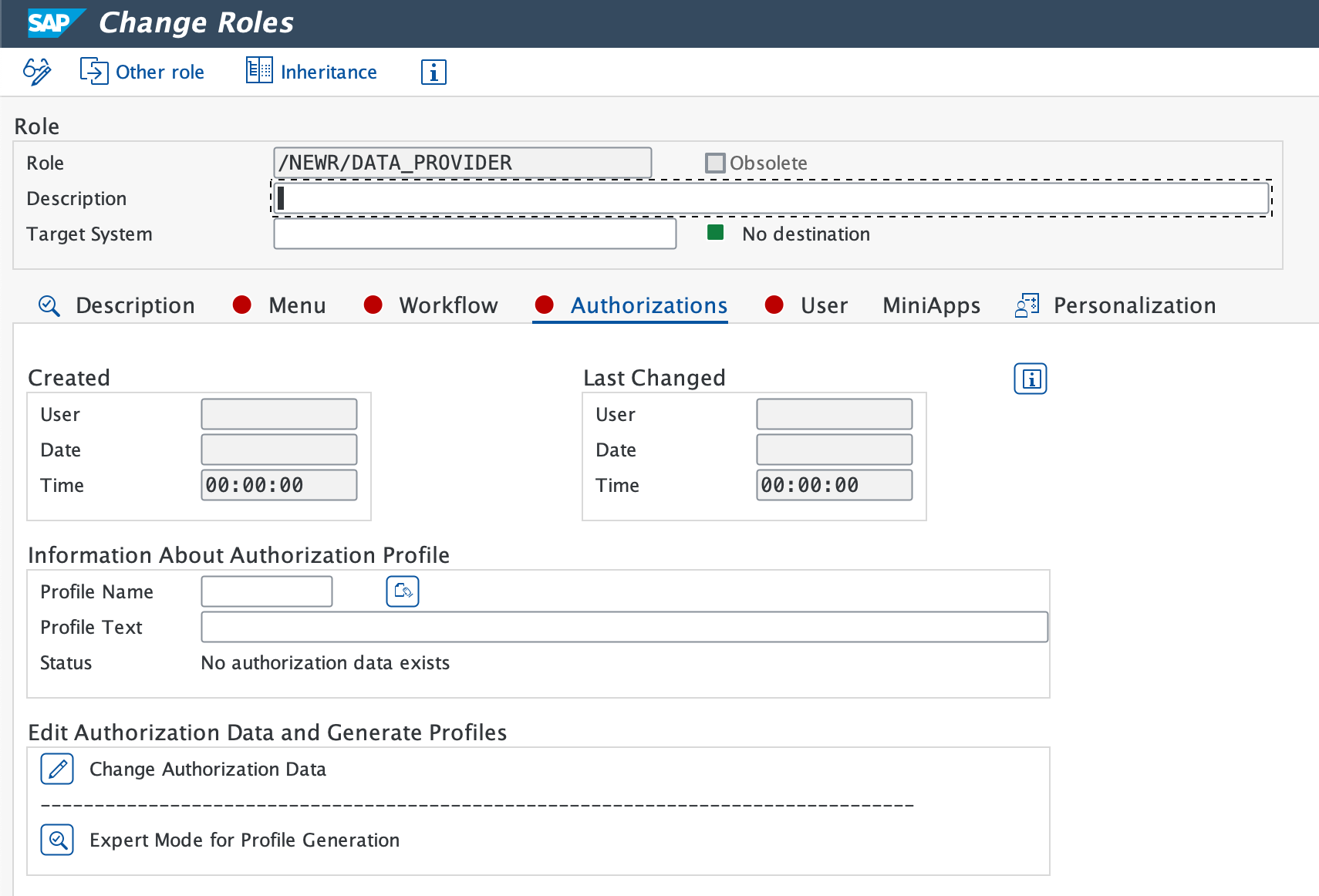 Authorizations Tab A screenshot displaying the authorization tab and Change Authorization Data in SAP upload